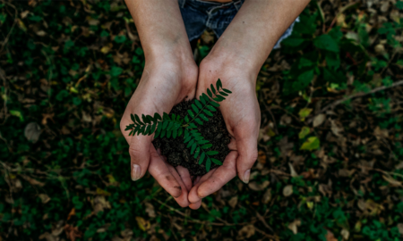 The role of Sustainability in the Workplace 